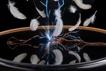 gambled rights meet electricity